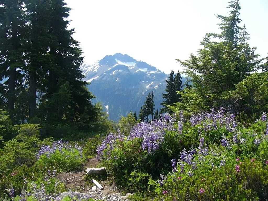 Brocante Chalet in Mount Baker-Snoqualmie Nationalwald