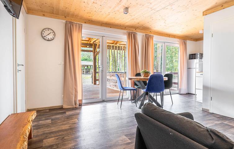 Ferienhaus für 4 Personen mit Terrasse in Drenthe