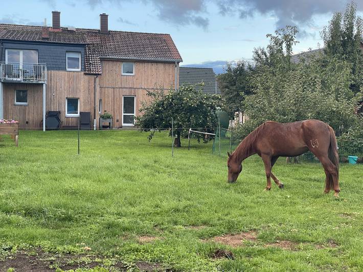 Ferienwohnung für 2 Personen, mit Garten in der Feldberger Seenlandschaft - 2