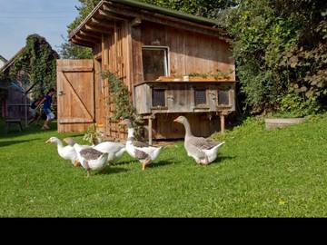 Bauernhof für 6 Personen in Eppishausen, Bayerisch Schwaben, Bild 2