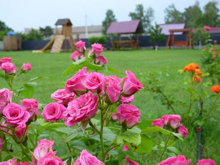 B&b per 2 persone, con Terrazza e Giardino nonché Panorama in Ucraina