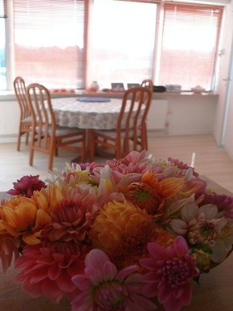 Appartement de vacances entier, Ferienwohnung Engel-Station in Schleswig, Schleswig & Surroundings