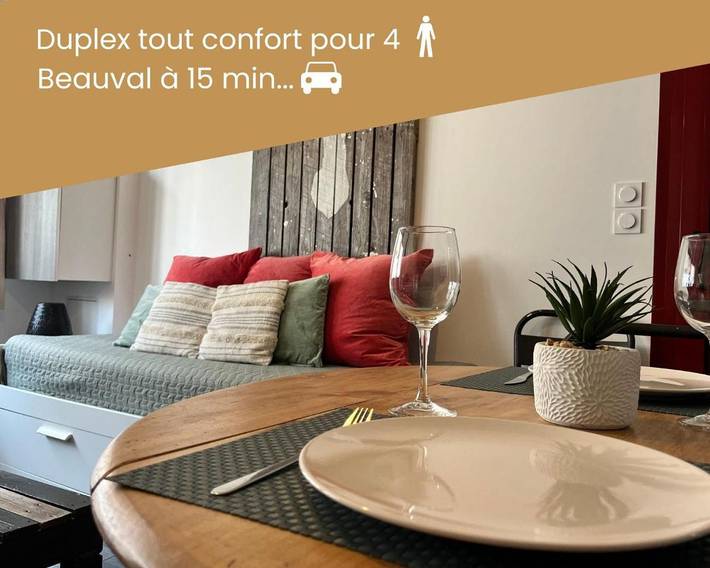 Location de vacances pour 4 personnes, avec Terrasse à Selles-sur-Cher