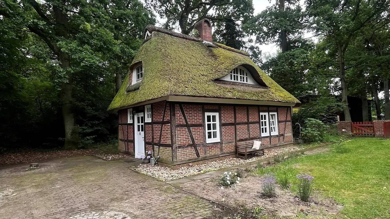 Ferienhaus für 4 Personen (65 m²) in Schneverdingen in Schneverdingen, Nordheide
