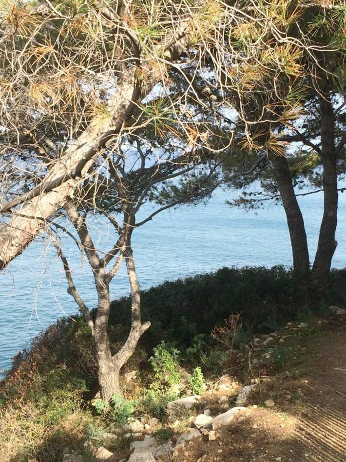 Location de vacances pour 4 personnes, avec terrasse et jardin, animaux acceptés à Patrimonio - 4