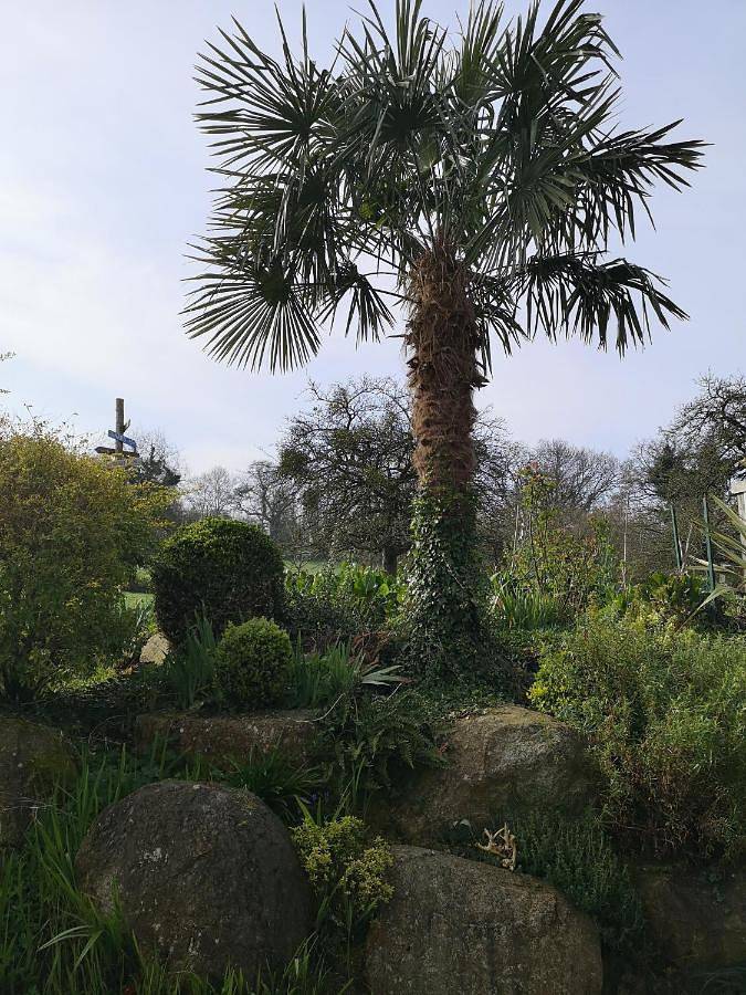 Gîte pour 3 personnes, avec jardin à Saint-Pierre-Langers - 4