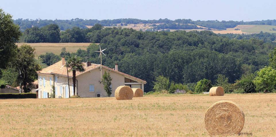 Gite du Buis du Bourdeaux in Chalais, Charente