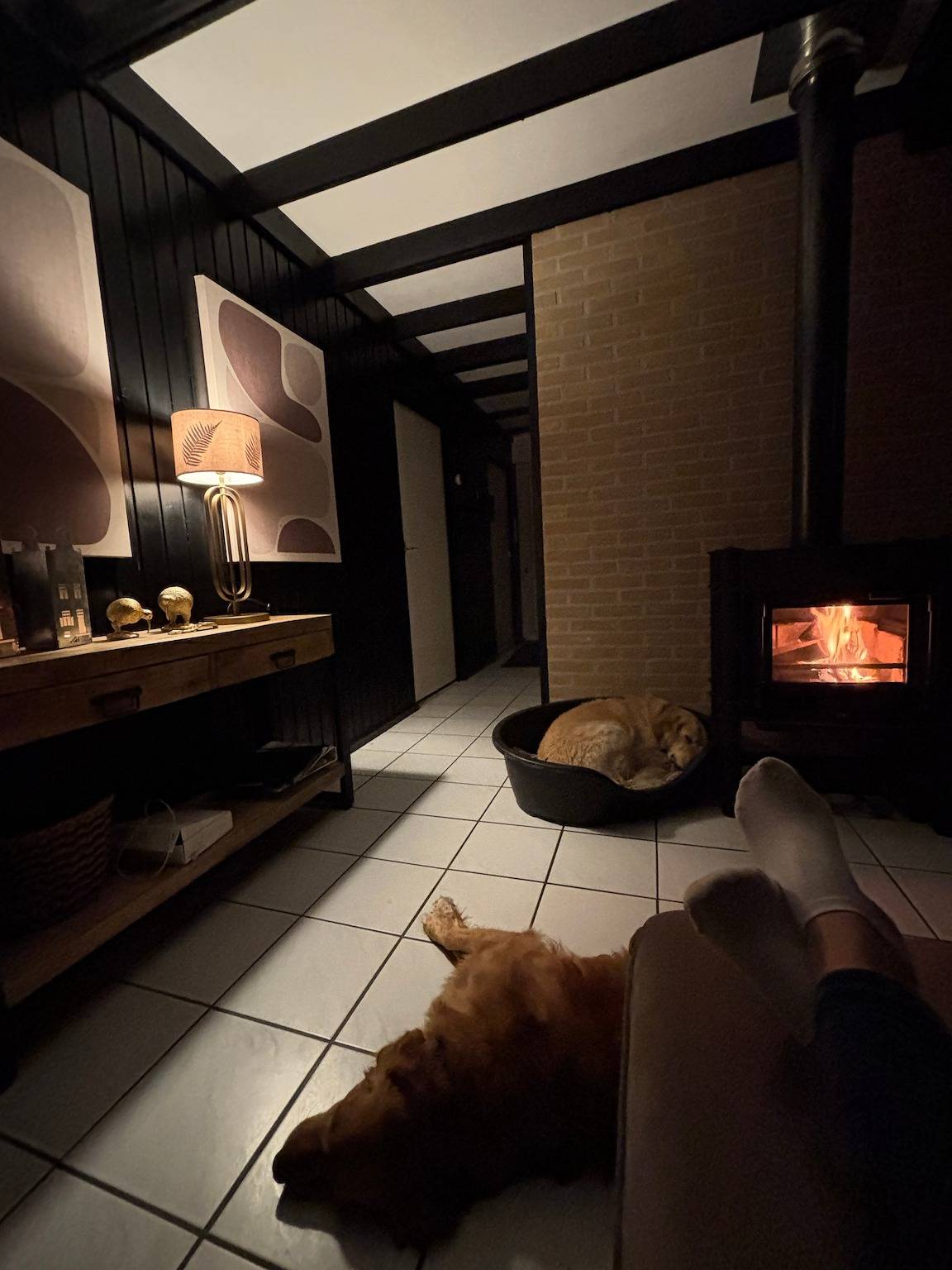 Moderner  gepflegter Nr. 142 ruhiger  Bungalow, Strandnah mit großen,  uneinsehbaren  Garten,  Terrassenüberdachung in Sint Maartensvlotbrug, Noord-Holland - Nordseeküste