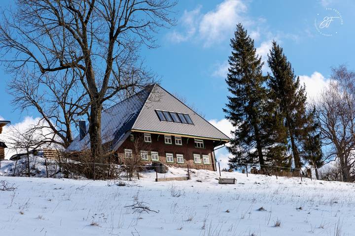Ferienwohnung für 2 Personen, mit Balkon/Terrasse und Terrasse sowie Garten in Triberg - 3