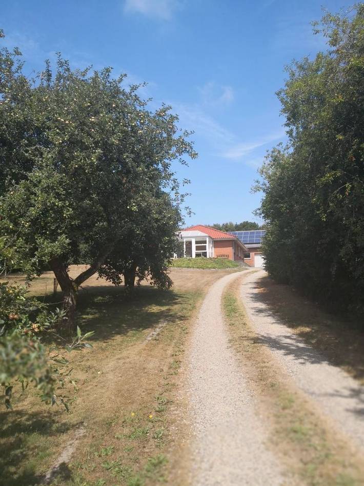 Chambre d’hôte pour 3 personnes, avec terrasse ainsi que jardin et vue au Danemark - 2