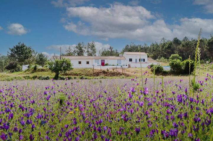 Ferienhaus für 4 Personen, mit Balkon und Garten - 1
