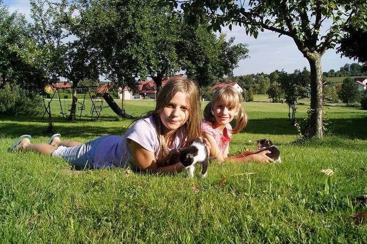 Bauernhof für 2 Personen, mit Garten und Terrasse, mit Haustier im Bayerischer Wald - 3