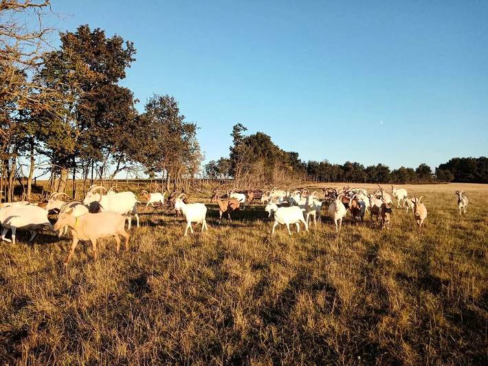 Gîte pour 2 personnes à Nouans-les-Fontaines - 4
