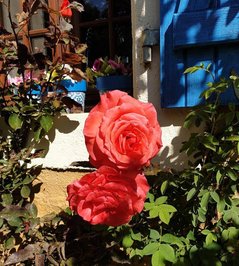 Double Room with Private Bathroom in Frayssinet-le-Gélat, Quercy