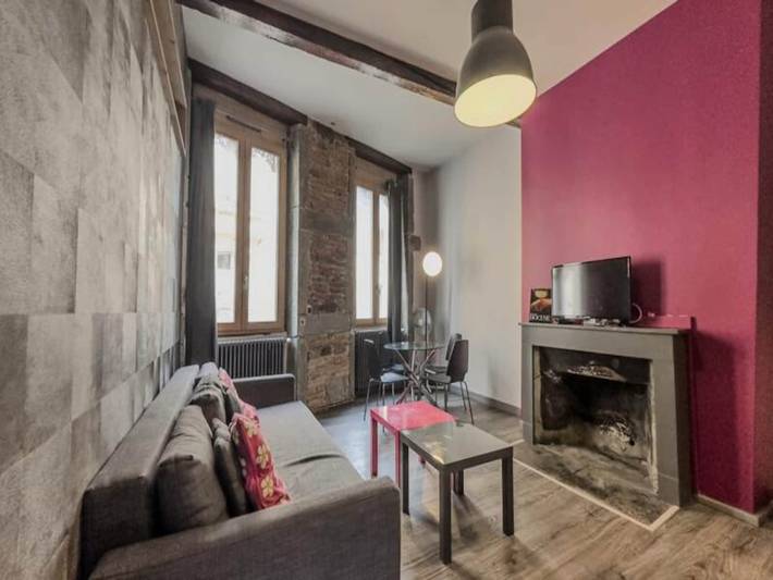 Appartement de vacances pour 5 personnes, animaux acceptés à Grenoble