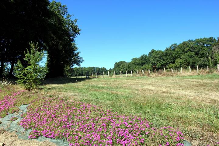 Lepinasse in Saint-Bazile, Parc naturel régional Périgord-Limousin
