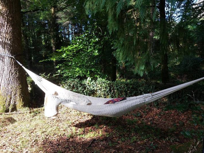 Appartement de vacances pour 4 personnes, avec vue et jardin, animaux acceptés