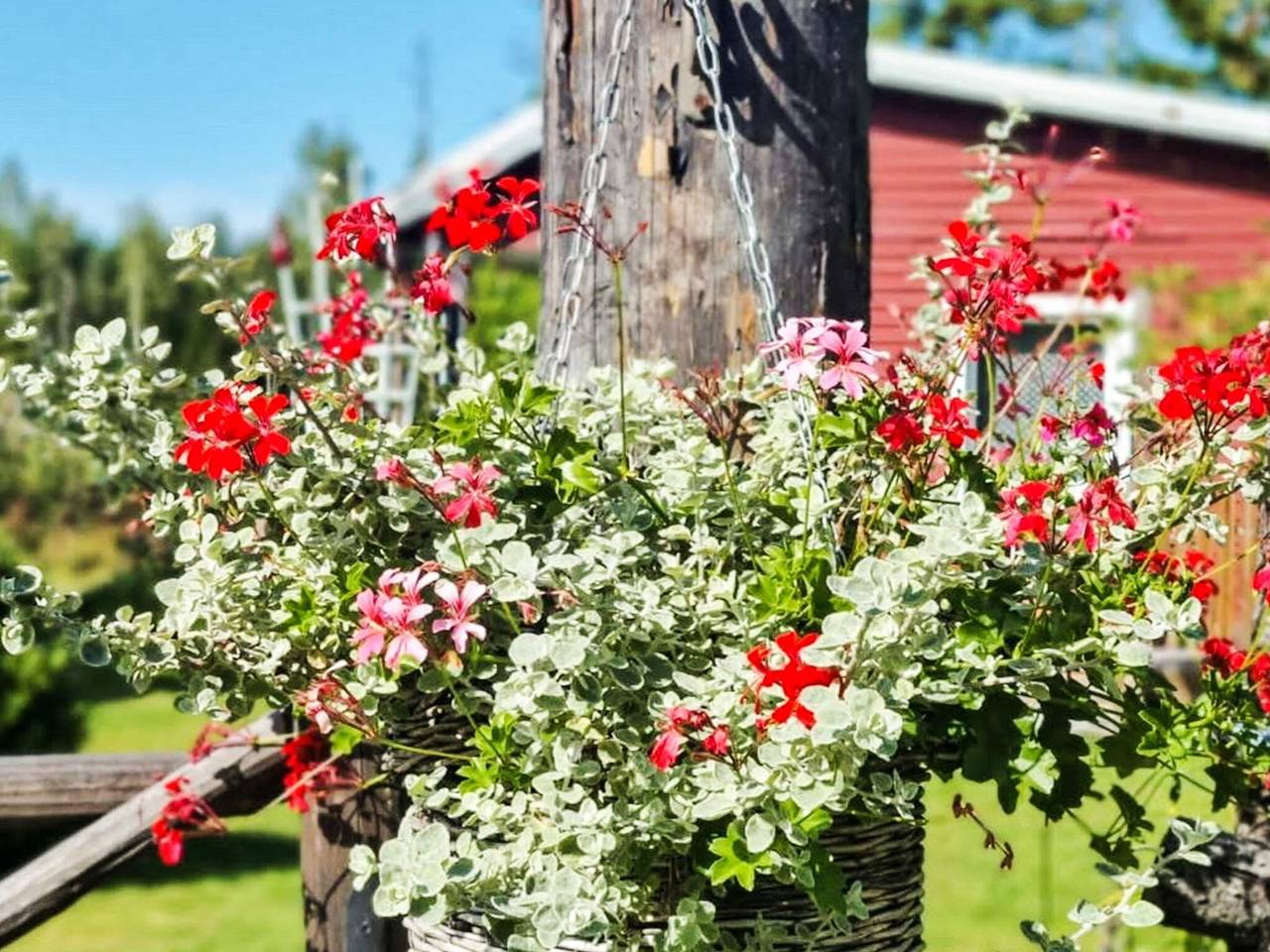 5 Personen Ferienhaus in Hallstavik in Stockholm und Umgebung