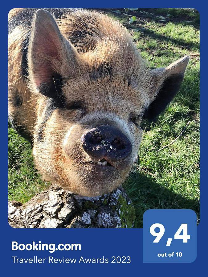 Location de vacances pour 4 personnes, avec vue ainsi que bassin pour enfant et jardin à Choussy - 3