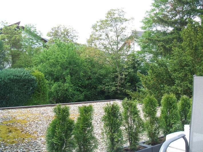 Ferienhaus für 5 Personen, mit Terrasse in Traben-Trarbach - 3