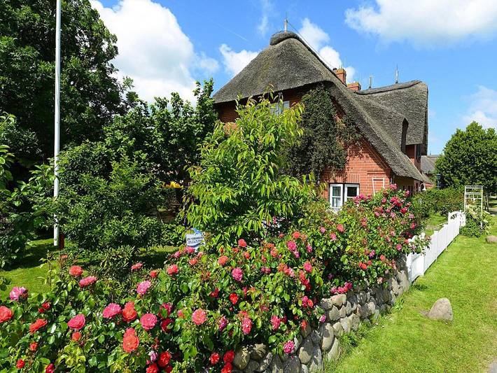Ganze Wohnung, Ferienwohnung in Oevenum auf Föhr in Nordfriesische Inseln (Schleswig-Holstein) (Schleswig-Holstein), Oevenum