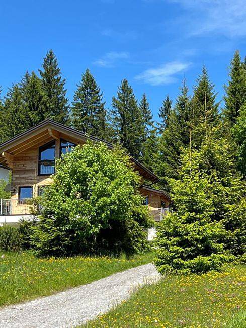 Geheel appartement, Chalet Bergheimat in Wagrain, Ski Amadé