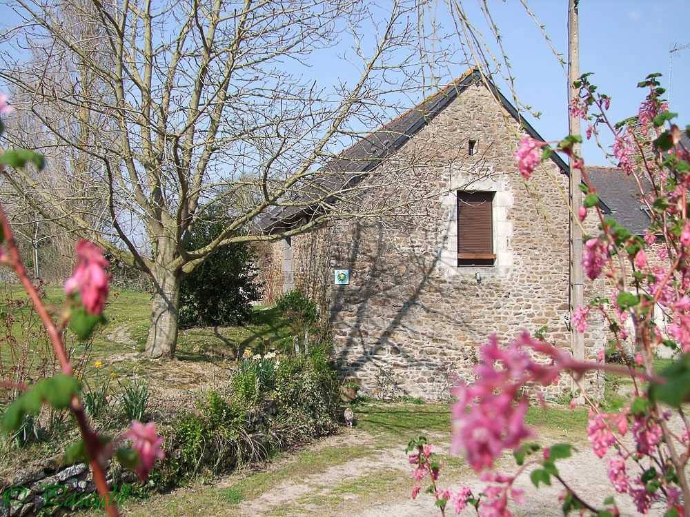 Tadorne de Belon in Pleudihen-sur-Rance, Région de Dinan