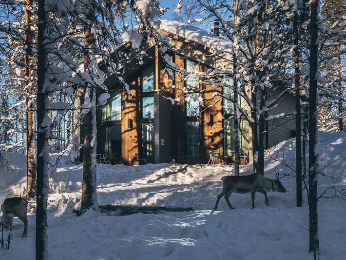 Aihki a in Rovaniemi, Laponie