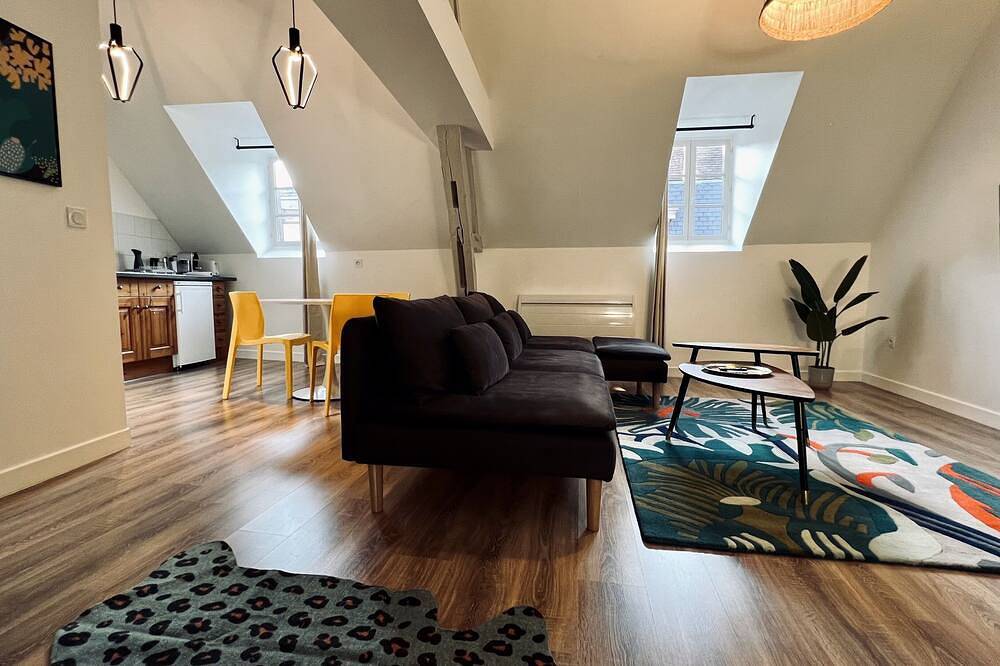 Appartement entier, Rhizhome - Coeur de ville, appartement spacieux in Auxerre, Région d'Auxerre