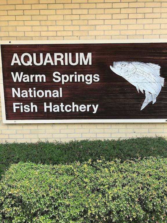 Vacation house for 14 people, with terrace in Georgia