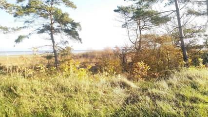 Feriehus til 9 Personer i Øster Hurup, Nordjylland, Bilde 2