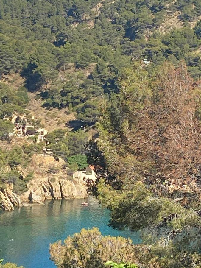 Location de vacances pour 2 personnes, avec jardin à Ensuès-la-Redonne - 2