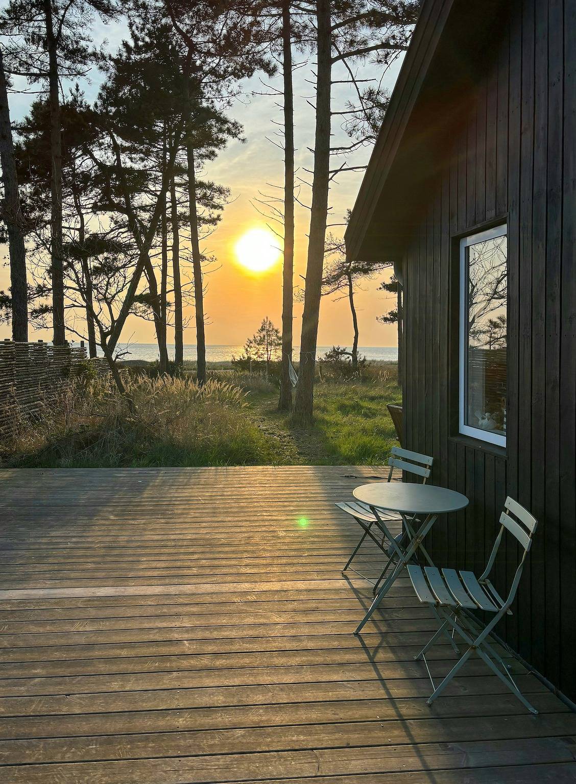Ungetrübte Aussicht auf das Meer und die wilde Natur in Bjerge, Kalundborg und Umgebung