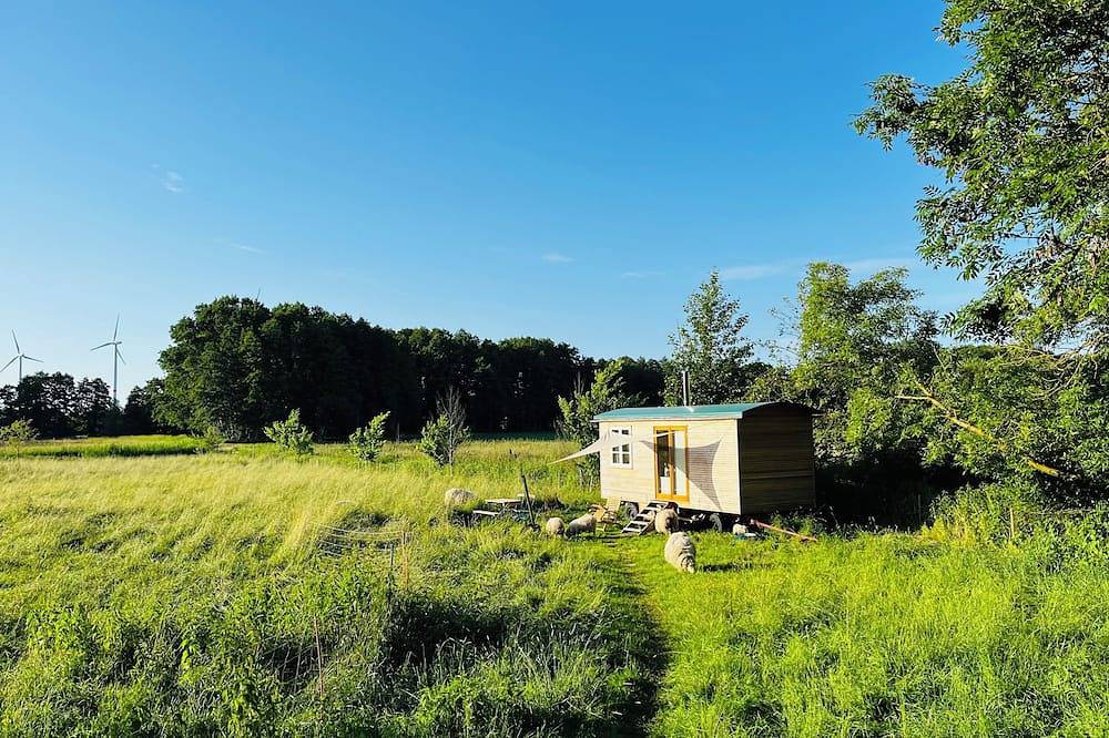 Wunderschönes Tinyhouse in Alleinlage an der Schafweide in Oetzen, Landkreis Uelzen