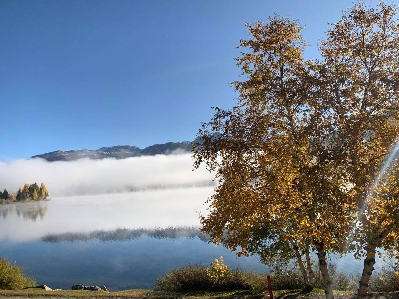 Ganze Wohnung, Arnica 2 La Punt in La Punt-Chamues-ch, Sankt Moritz