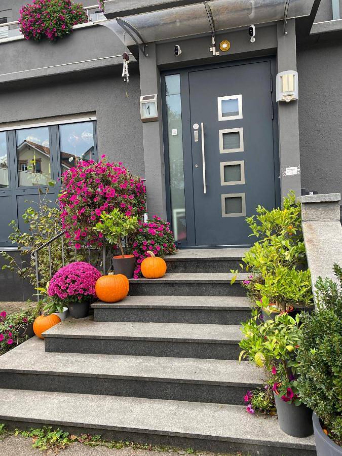 Appartement de vacances entier, Double Room with Shared Bathroom in Lörrach, Forêt-Noire du Sud