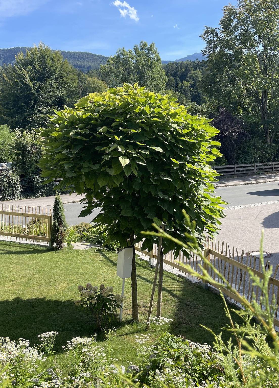 Ganze Ferienwohnung, Ferienwohnung Dahoam - Ferienwohnung 80qm für max. 6 Personen in Bernau am Chiemsee, Chiemsee
