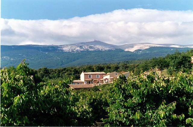Double Room with Terrace in Flassan, Parc naturel régional du Mont-Ventoux