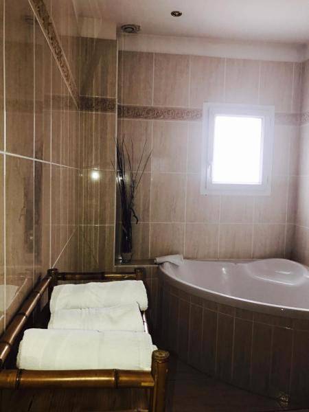 Chambre d’hôte pour 4 personnes, avec terrasse ainsi que vue et jardin à Vierzon - 3