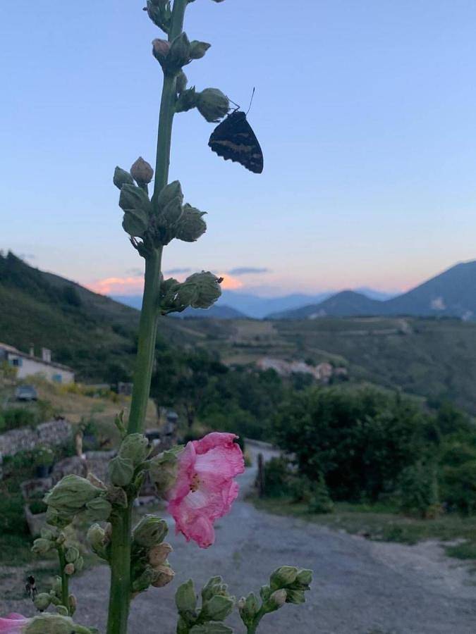 Location de vacances pour 4 personnes, avec vue et terrasse à Ubraye - 4