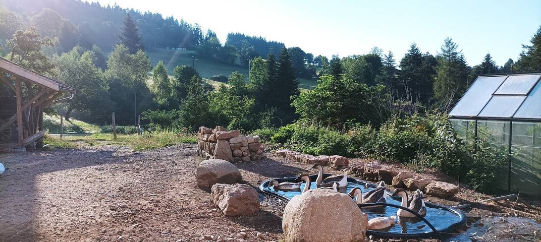 Location de vacances pour 2 personnes, avec jardin à Le Tholy - 2