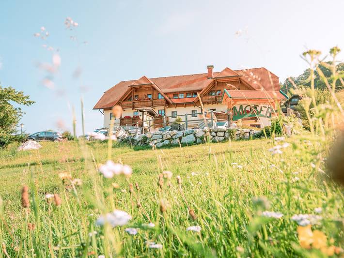 Hotel für 2 Personen, mit Balkon und Terrasse sowie Garten und Sauna in St. Lambrecht