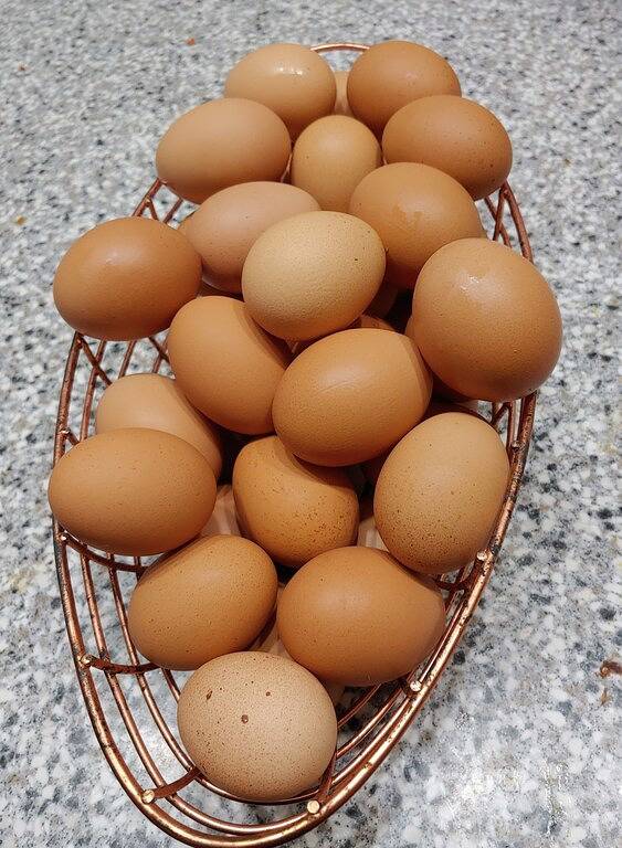 Cozy Farm Stay Near Keuka Lake / No Cleaning Fee / Pet Friendly / Wi-Fi + More! in Keuka Lake