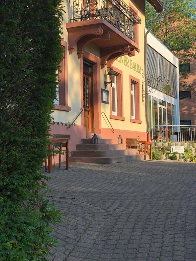 Hotel & Restaurant Grüner Baum Merzhausen in Merzhausen, Südschwarzwald