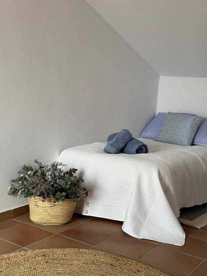 Casa rural para 18 personas, con jardín además de piscina y vistas, Se admiten mascotas en Campo de Montiel - 2