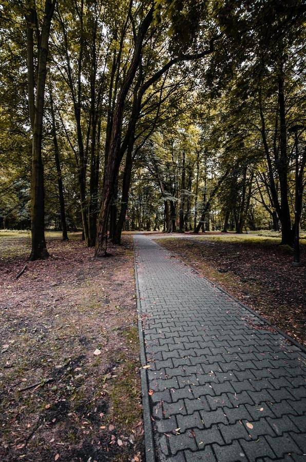 Cały apartament, Apartament Deluxe Arcon in Siemianowice Śląskie, Śląsk