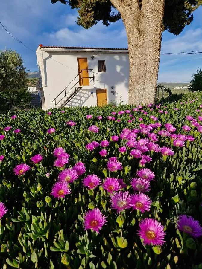 Appartement de vacances pour 4 personnes, avec jacuzzi ainsi que jardin et piscine - 1