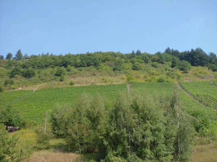 Ferienwohnung für 4 Personen, mit Ausblick in Reichsburg Cochem - 3