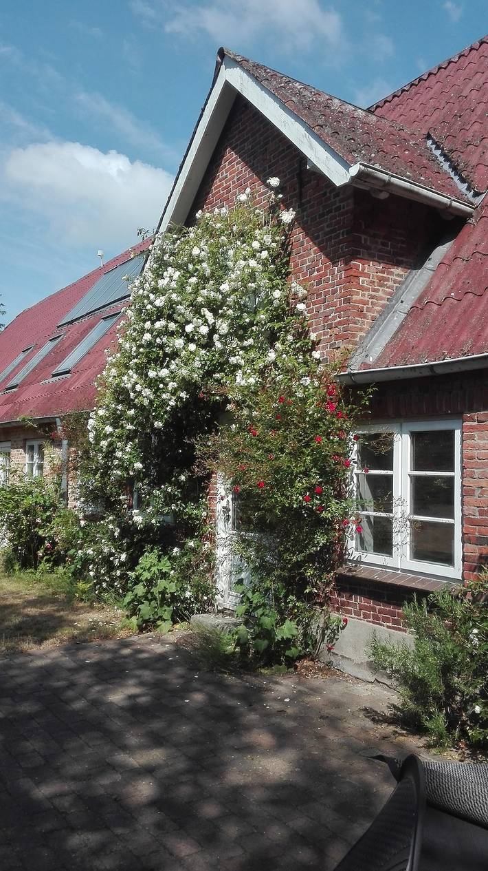 Ferienhaus für 4 Personen, mit Garten, mit Haustier in Nordfriesland - 2