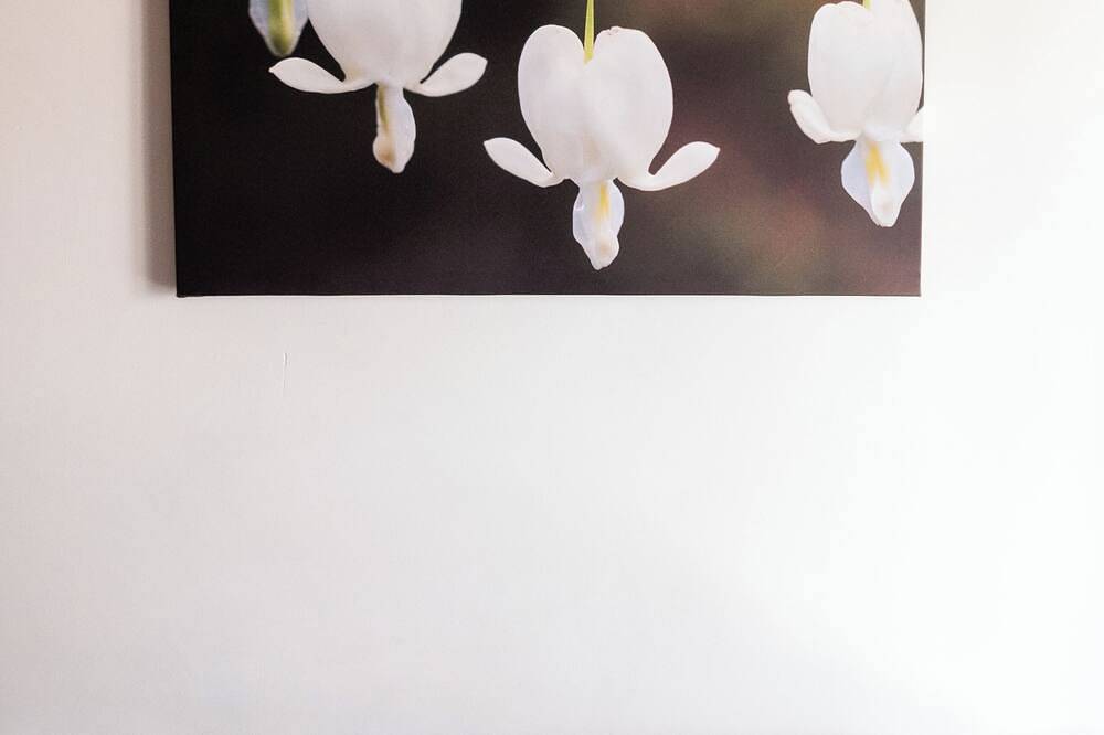 Apartamento entero, Cozy downtown apartment, convenient to all services and highways. in Villanova d'Asti, Provincia d'Asti